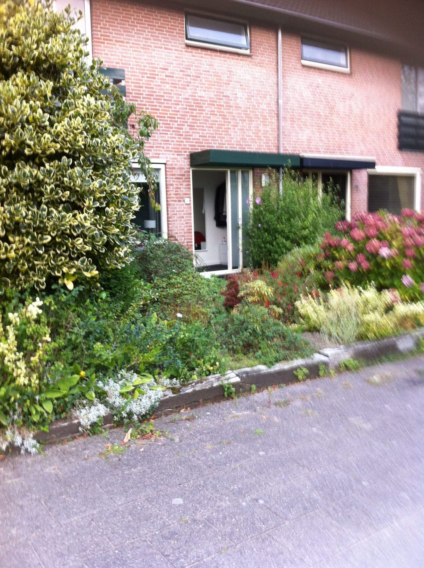 Moderne tuin, beeld 1 van 7