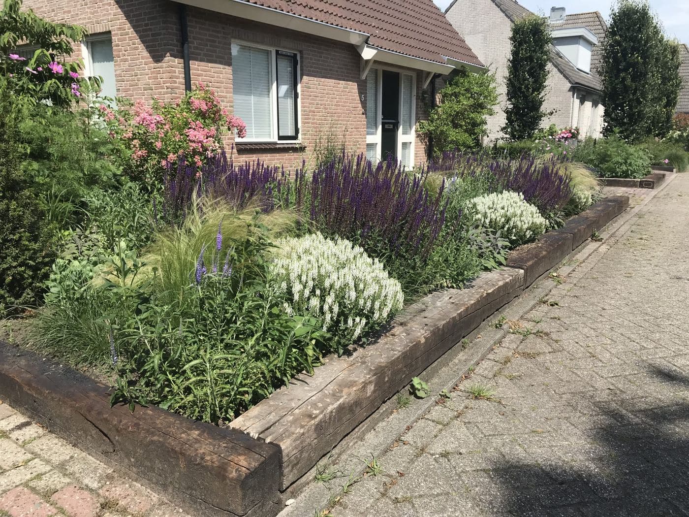 Nieuwe beplanting, beeld 2 van 3