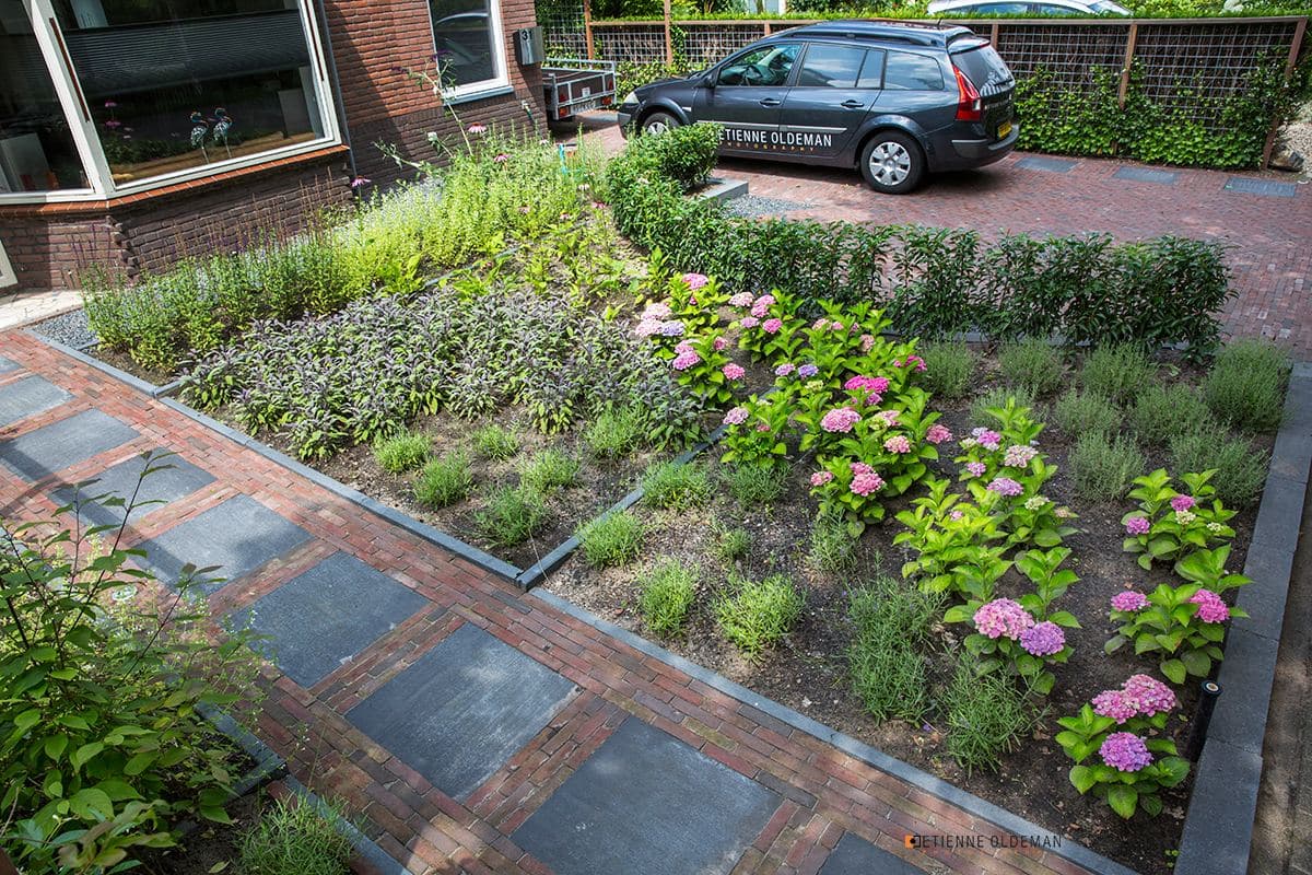 Stadstuin, beeld 8 van 9