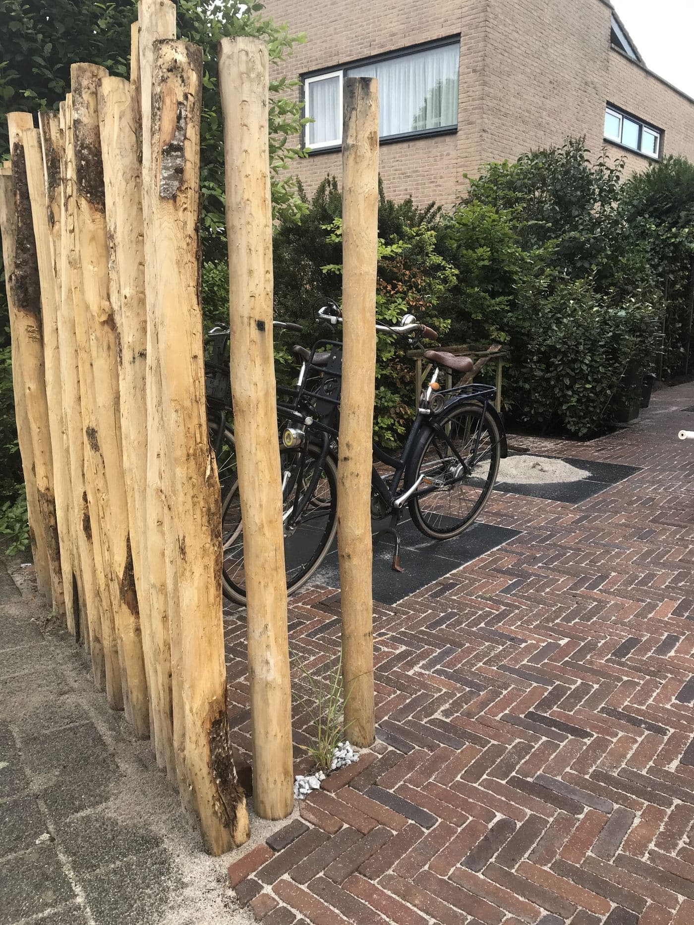 Tuin, beeld 2 van 8