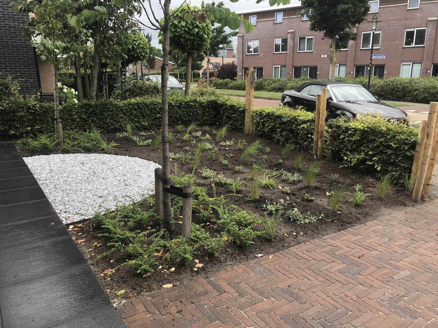 Tuin, beeld 5 van 8