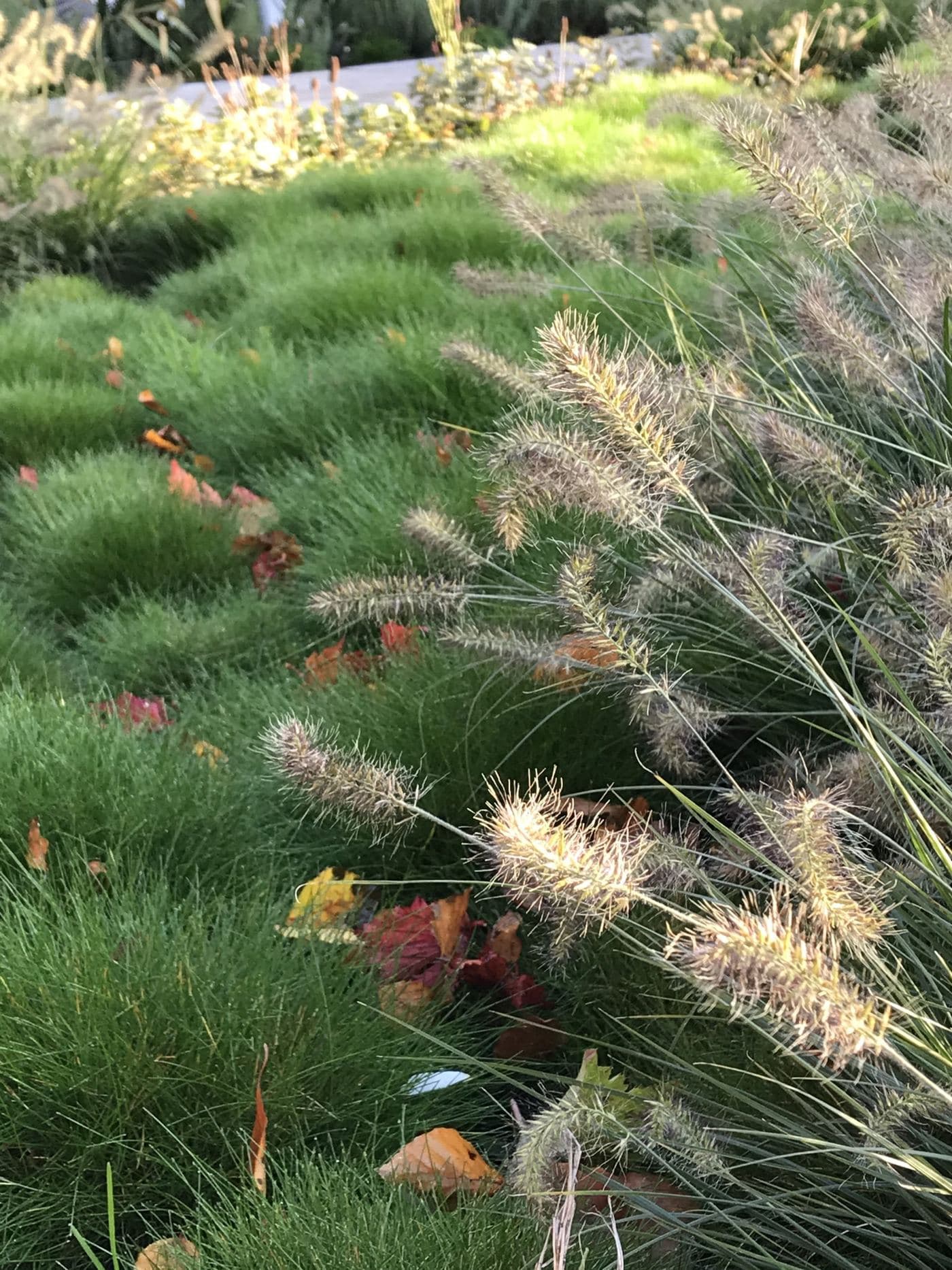 Tuin in regio Hoevelaken, beeld 9 van 10