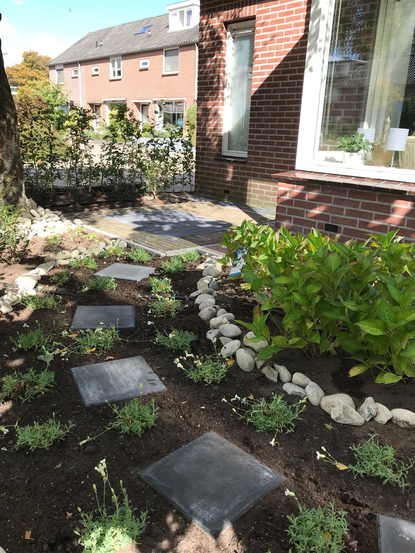 Natuurlijk wilde tuin, beeld 3 van 6