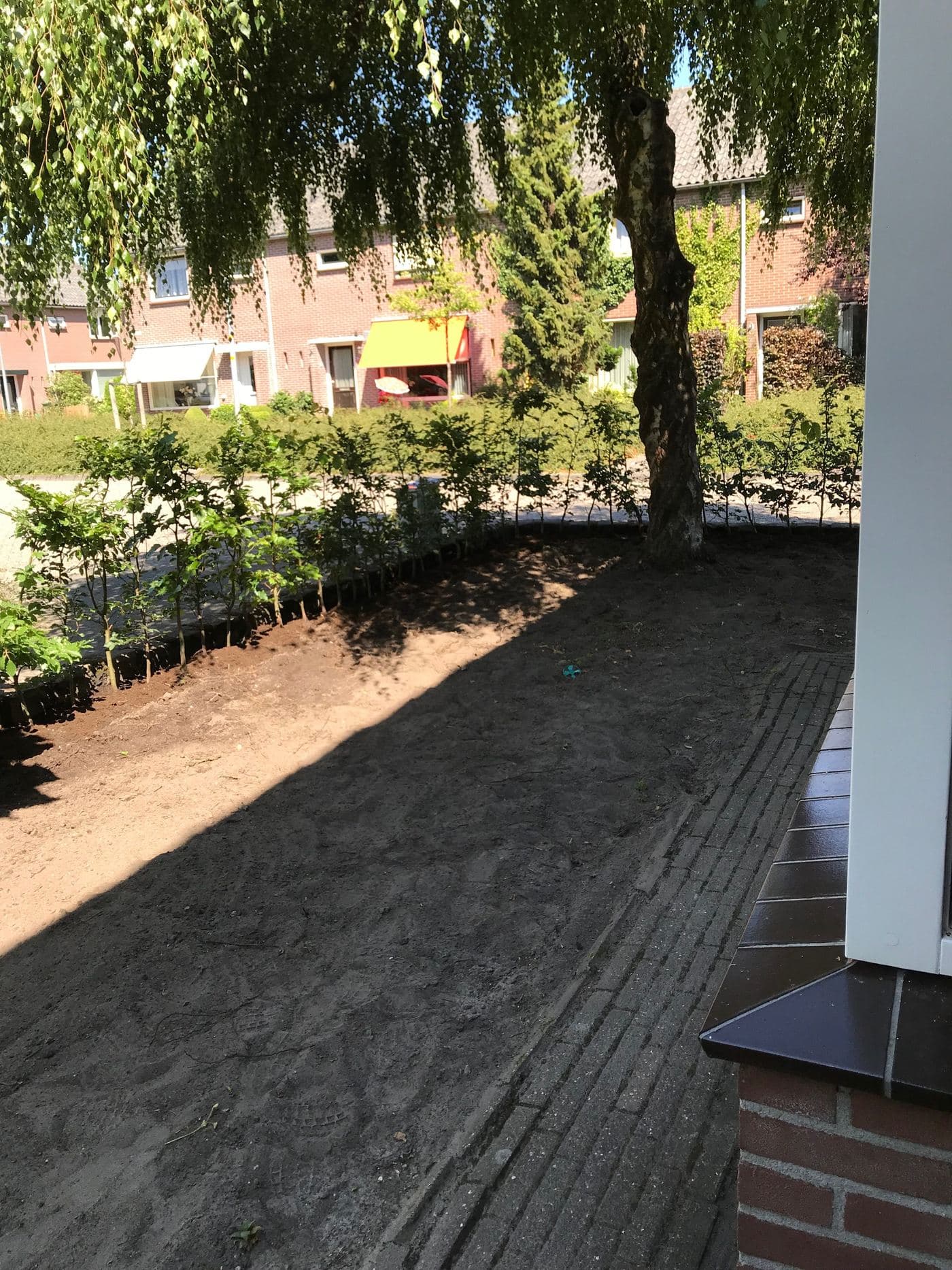 Natuurlijk wilde tuin, beeld 4 van 6