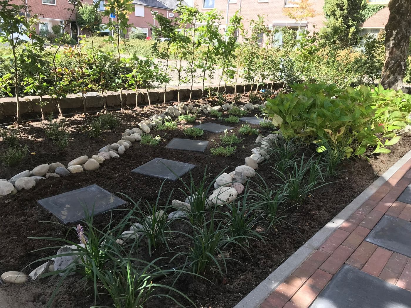 Natuurlijk wilde tuin, beeld 5 van 6